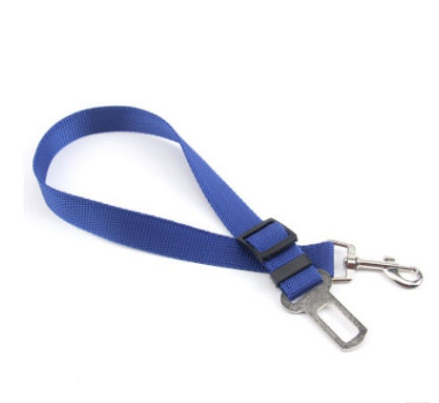 Dog Strap
