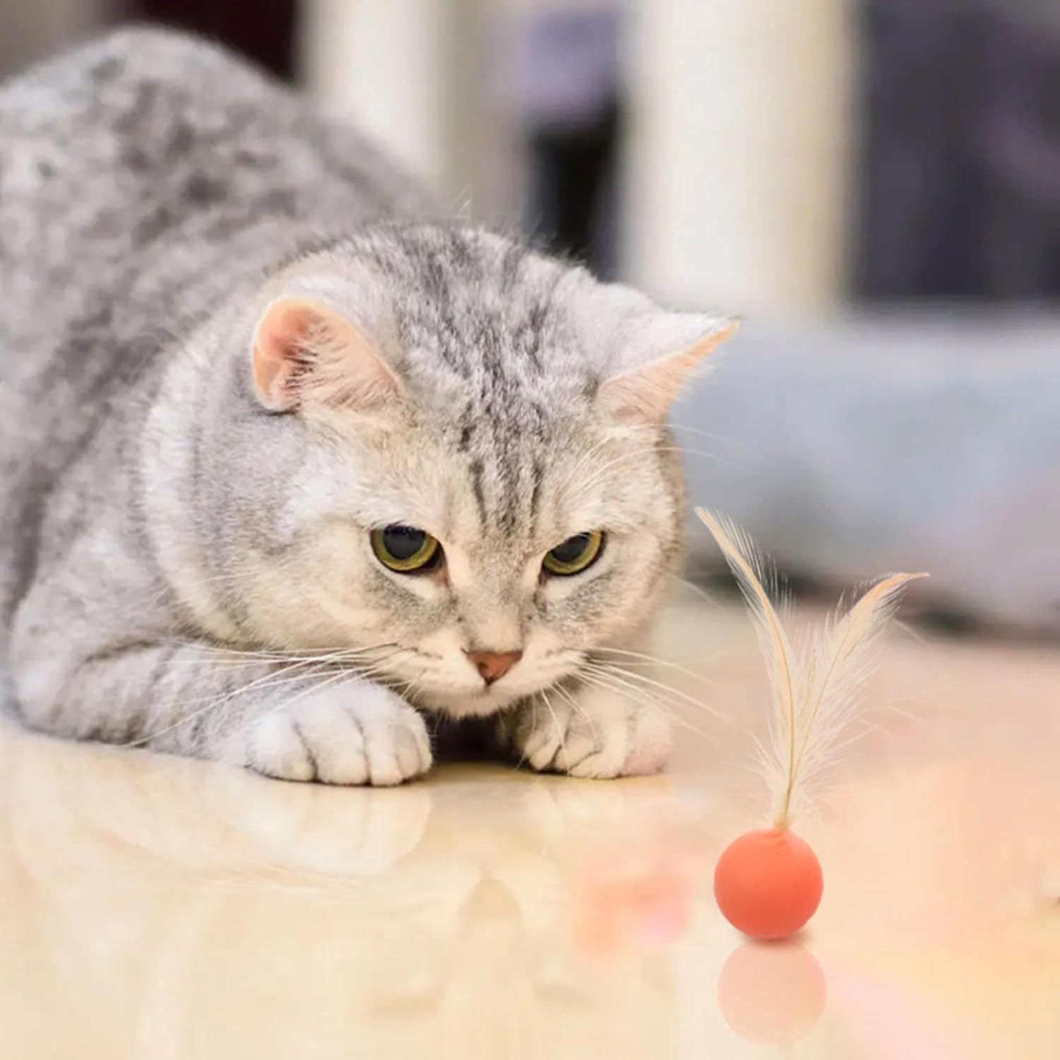 Toy Bouncy Ball