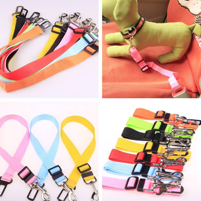 Dog Strap