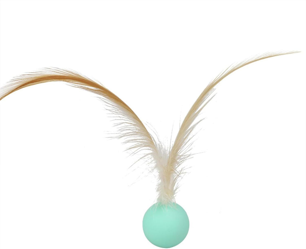 Toy Bouncy Ball