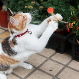 Cat And Dog Toy Bouncy Ball Jumping Ball Interactive Funny Cat  Colorful High Elastic Pet Toy